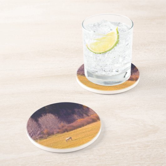 Pferd in Fall I Sandstein Untersetzer (Seite)