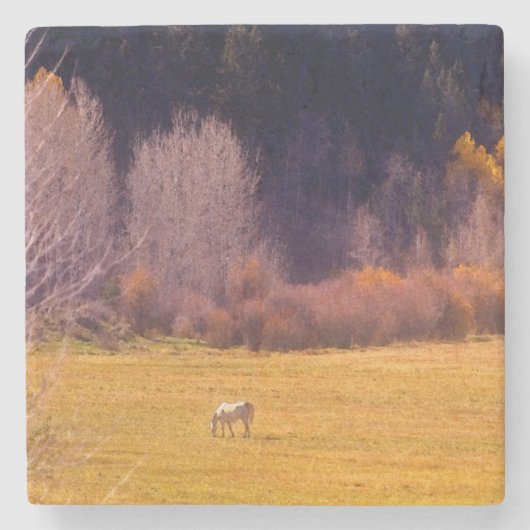 Pferd in Fall I Steinuntersetzer (Vorderseite)