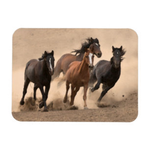 Pferd in Fall II Magnet