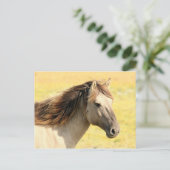 Pferd in freier Wildbahn Postkarte (Stehend Vorderseite)