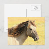 Pferd in freier Wildbahn Postkarte (Vorne/Hinten)