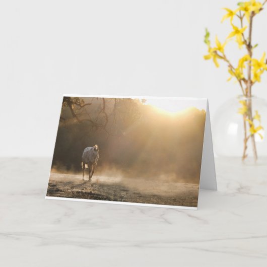 Pferd in Light Equine Sympathy Card Karte (Gelbe Blume)