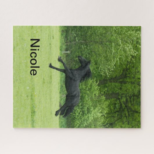 Pferd in Paddock und Farmpferdefreund, individuell Puzzle (Horizontal)