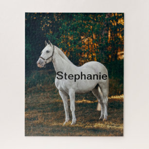 Pferd in Paddock und Pferdefreund, tierische Liebe Puzzle