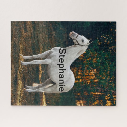 Pferd in Paddock und Pferdefreund, tierische Liebe Puzzle (Horizontal)