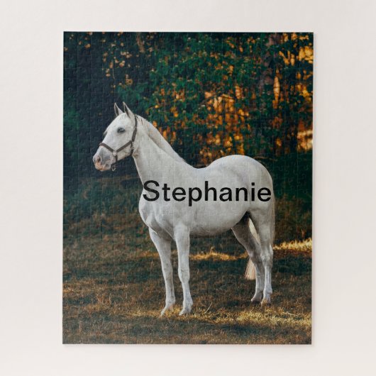 Pferd in Paddock und Pferdefreund, tierische Liebe Puzzle (Vertikal)