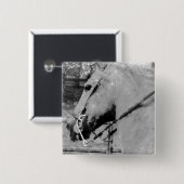 Pferd in Schwarz und Weiß Button (Vorne & Hinten)