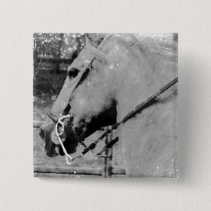 Pferd in Schwarz und Weiß Button