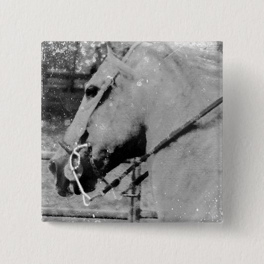 Pferd in Schwarz und Weiß Button (Vorderseite)