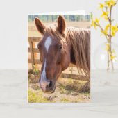 Pferd in Sonnenlicht Fotograf Blank Inside Karte (Gelbe Blume)
