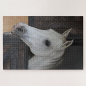 Pferd in Stall Puzzle (Horizontal)