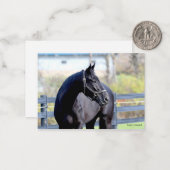 Pferd in Weide Mitteilungskarte (Vorderseite/Rückseite Beispiel)