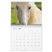 Pferd Kalender (Jan 2027)