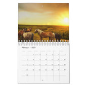 Pferd Kalender (Feb 2027)