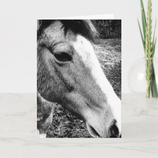 Pferd Karte (Vorderseite)