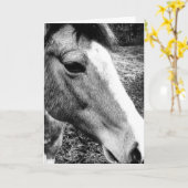 Pferd Karte (Gelbe Blume)