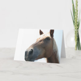 Pferd Karte