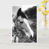 Pferd Karte (Gelbe Blume)