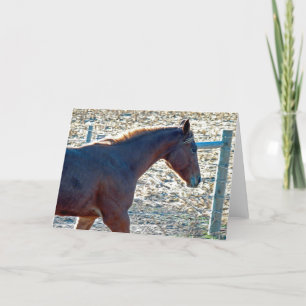 Pferd Karte