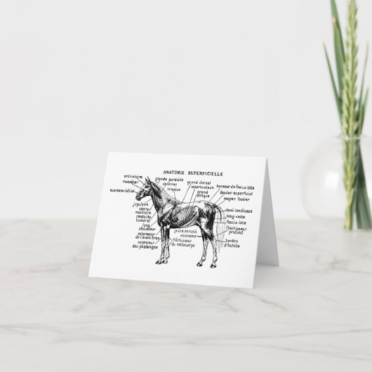 Pferd Karte (Vorderseite)