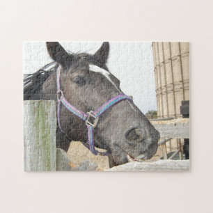 Pferd kauen einen Zaun Post Puzzle