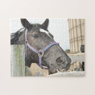 Pferd kauen einen Zaun Post Puzzle