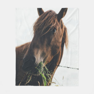 PFERD KAUT GRAS FLEECEDECKE
