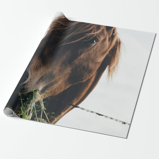 PFERD KAUT GRAS GESCHENKPAPIER (Ungerollt)