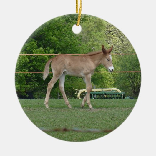 Pferd Keramikornament (Vorne)