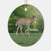 Pferd Keramikornament (Links)