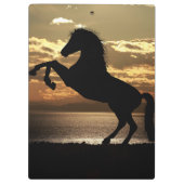 Pferd Klemmbrett (Rückseite)