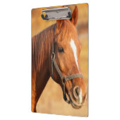 Pferd Klemmbrett (Links)