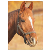 Pferd Klemmbrett (Rückseite)