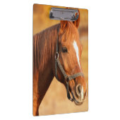 Pferd Klemmbrett (Rechts)