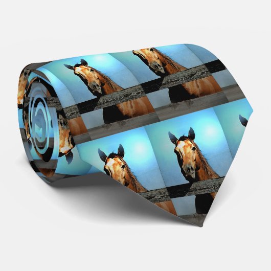 Pferd Krawatte (Gerollt)