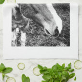 Pferd Küchentuch (Gefaltet)