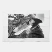 Pferd Küchentuch (Horizontal)