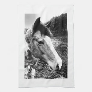 Pferd Küchentuch