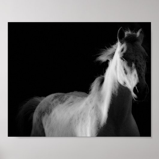 Pferd, Kunstfotografie-Poster Poster (Vorne)
