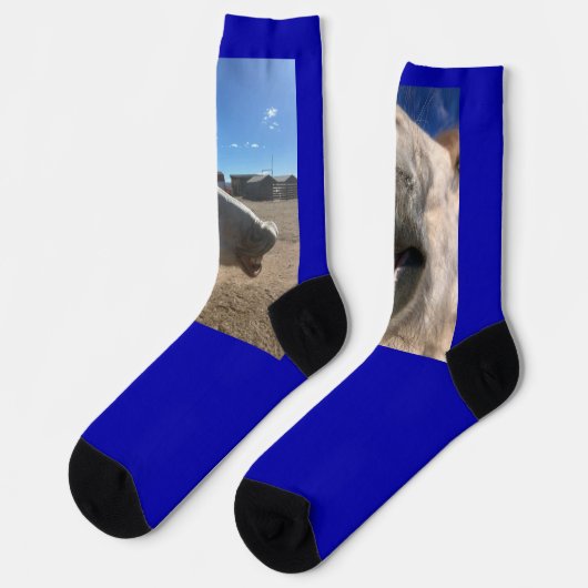 Pferd Lächelt Socken (Linkes Detail)