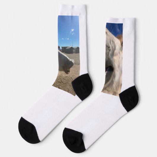 Pferd Lächelt Socken (Linkes Detail)