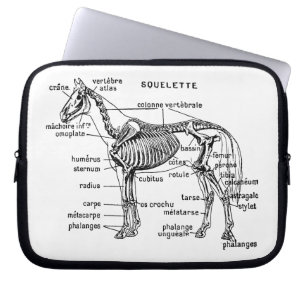 Pferd Laptopschutzhülle