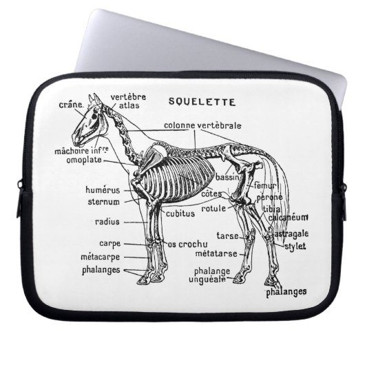 Pferd Laptopschutzhülle (Vorderseite)