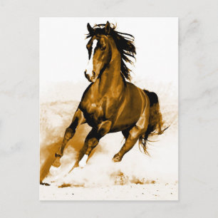 Pferd Laufen Postkarte