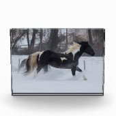 Pferd läuft durch den Schnee Fotoblock (Vorderseite)