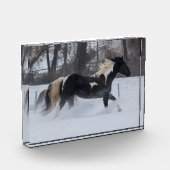 Pferd läuft durch den Schnee Fotoblock (Links)
