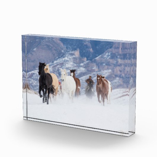 Pferd läuft durch den Schnee Fotoblock (Rechts)