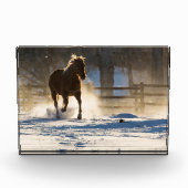 Pferd läuft durch den Schnee Fotoblock (Vorderseite)