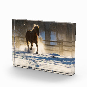 Pferd läuft durch den Schnee Fotoblock