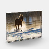 Pferd läuft durch den Schnee Fotoblock (Links)